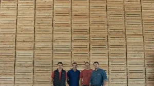 Producción de Naranjas