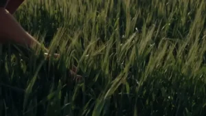 Fincas El Paraíso x Noelia y Gonzalo