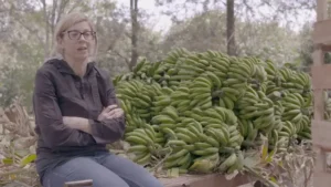 Bananas, impacto social y medio ambiente