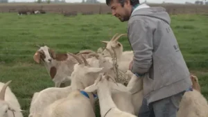 Dulce de leche de cabra