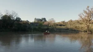 Mandioca I El alimento del futuro