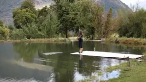 Frutos Rojos x Alumine y Emilio