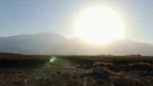 Juanfa Suárez y las Uvas de Paraje Altamira