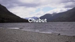 Estofado de cordero x Lidia Carabante