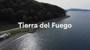 Cordero a la estaca por José Villegas