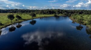 The Nature Conservancy - Documental